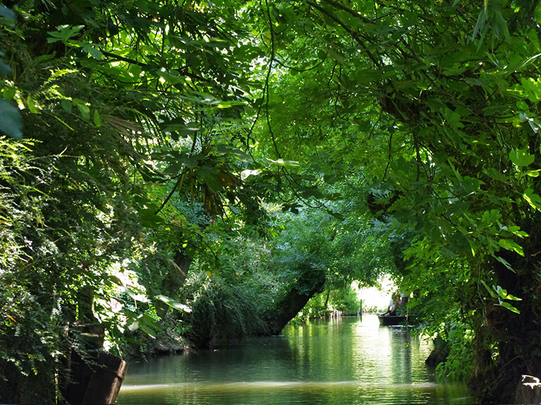 Marais Poitevin